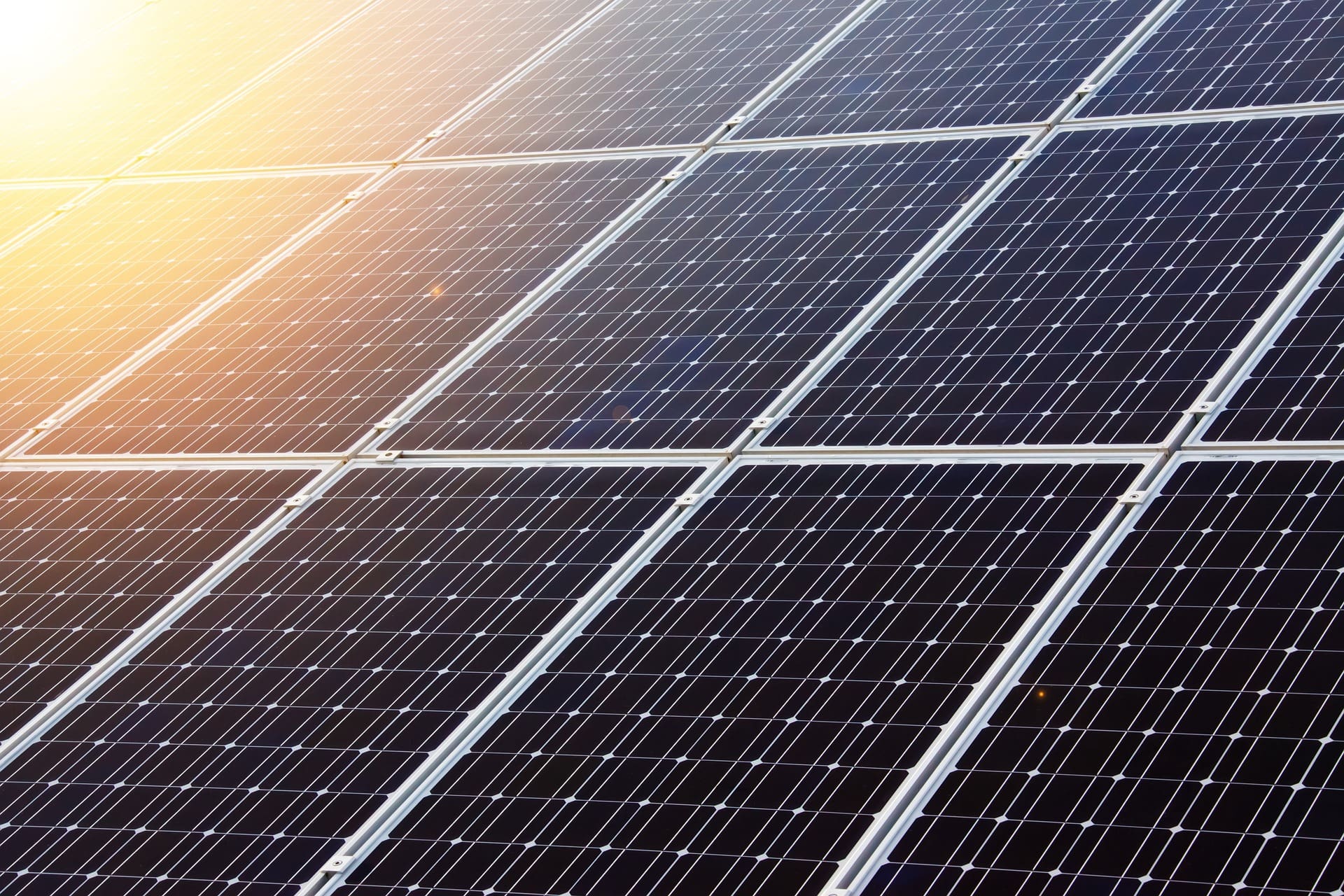 Grünliberale Kanton Bern Solar