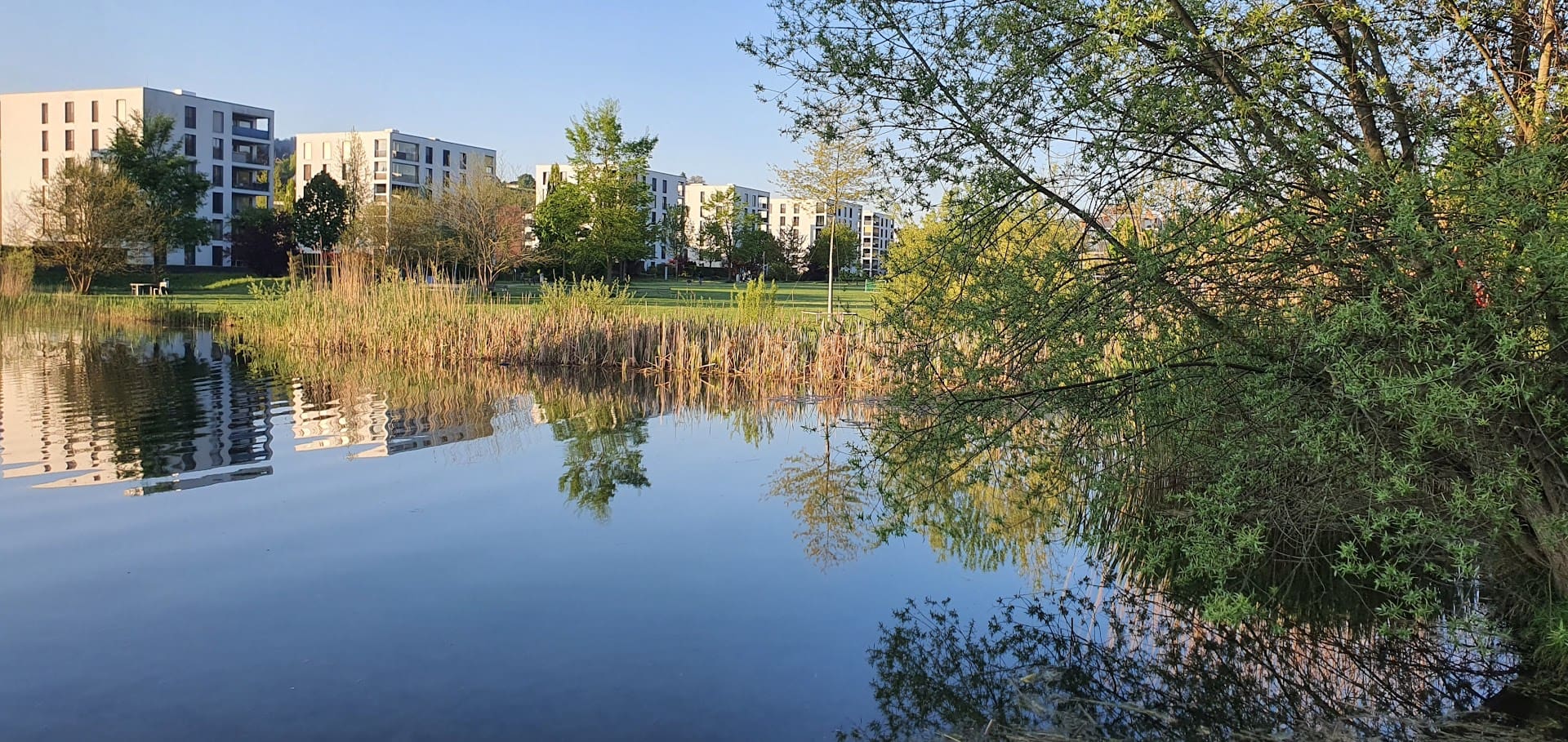 Grünliberale Köniz Liebefeldpark