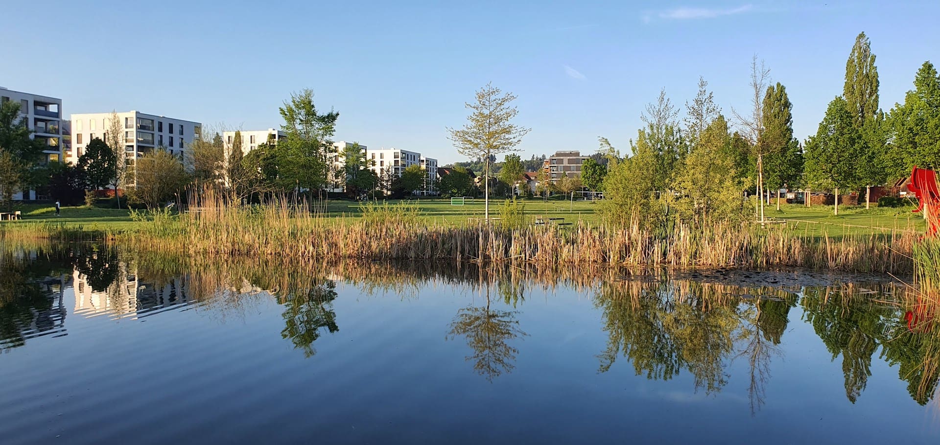 Grünliberale Köniz Liebefeldpark