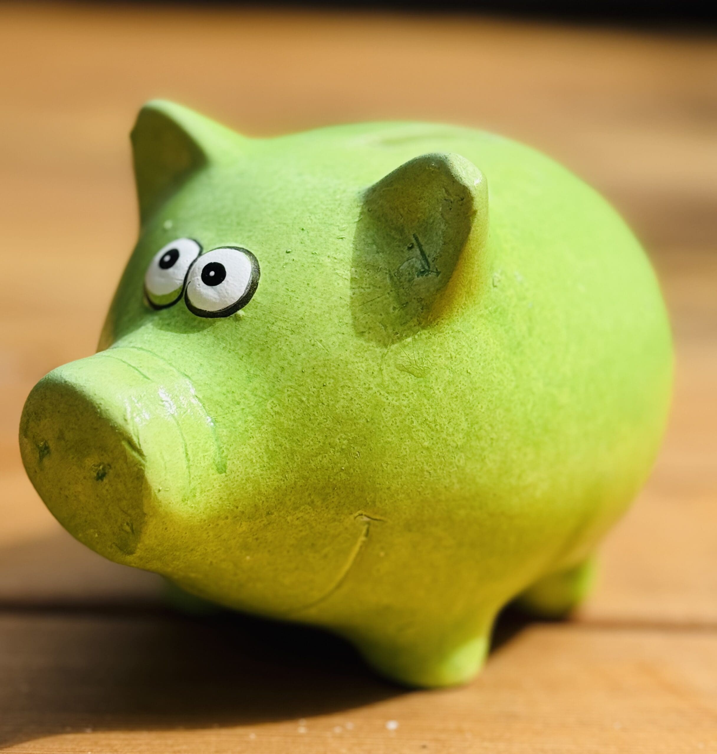Sparschwein