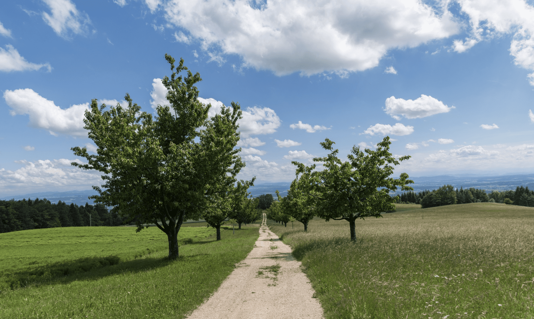 Attiswil (Bild auf alter Website)