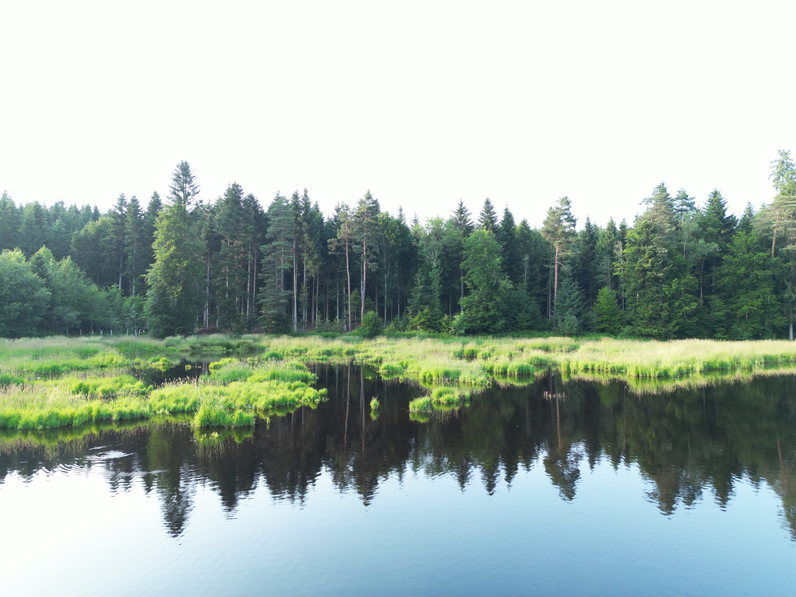 Natur Zollikofen